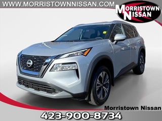 2023 Nissan Rogue for sale in Morristown TN