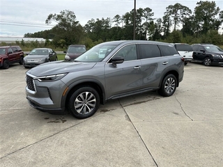 2023 Infiniti QX60 for sale in Columbia SC