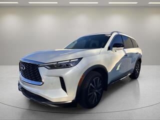 2023 Infiniti QX60 for sale in Greenville SC