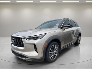 2023 Infiniti QX60 for sale in Greenville SC