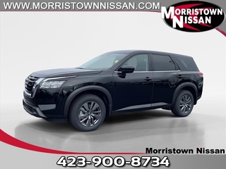 2025 Nissan Pathfinder for sale in Morristown TN