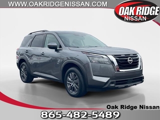 2024 Nissan Pathfinder for sale in Oak Ridge TN