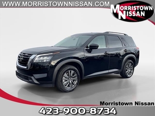 2024 Nissan Pathfinder for sale in Morristown TN