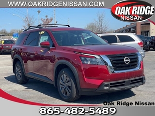 2024 Nissan Pathfinder for sale in Oak Ridge TN