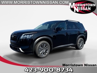 2025 Nissan Pathfinder for sale in Morristown TN