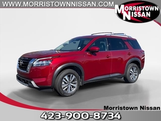 2024 Nissan Pathfinder for sale in Morristown TN