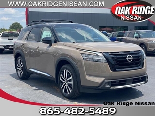 2024 Nissan Pathfinder for sale in Oak Ridge TN