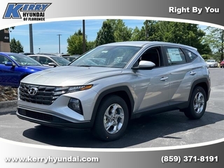 2024 Hyundai Tucson for sale in Florence KY