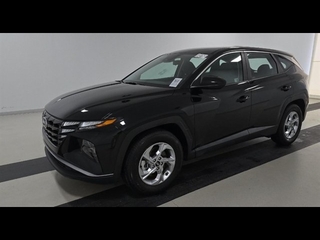 2024 Hyundai Tucson for sale in Plano TX