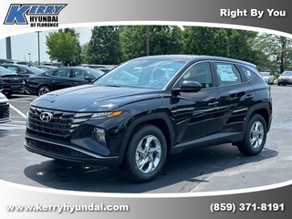 2024 Hyundai Tucson for sale in Florence KY