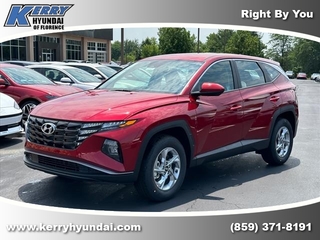 2024 Hyundai Tucson for sale in Florence KY