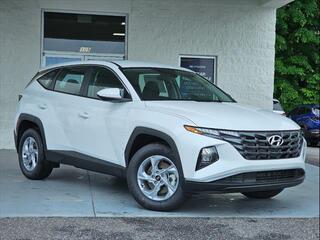 2024 Hyundai Tucson for sale in Kingsport TN