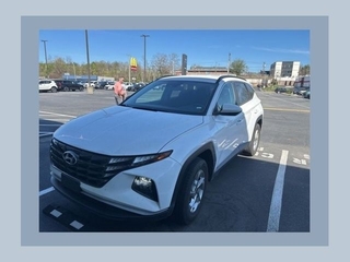 2024 Hyundai Tucson for sale in Bristol TN