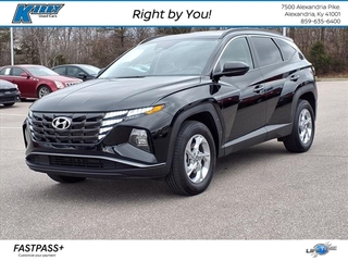 2024 Hyundai Tucson for sale in Alexandria KY