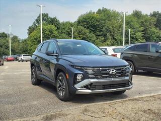 2025 Hyundai Tucson for sale in Stow OH