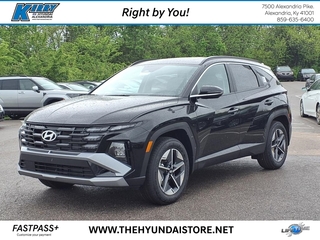 2025 Hyundai Tucson for sale in Alexandria KY