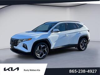2024 Hyundai Tucson for sale in Louisville TN