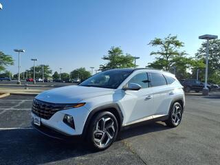 2024 Hyundai Tucson for sale in Matteson IL