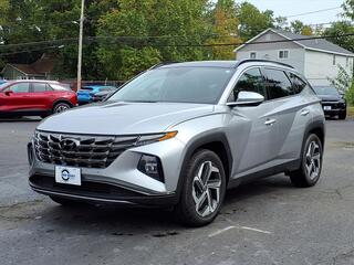2024 Hyundai Tucson for sale in Herrin IL