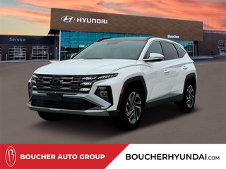 2025 Hyundai Tucson for sale in Janesville WI