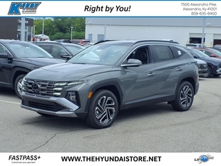 2025 Hyundai Tucson for sale in Alexandria KY
