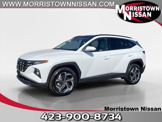 2024 Hyundai Tucson for sale in Morristown TN