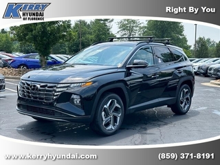 2024 Hyundai Tucson for sale in Florence KY