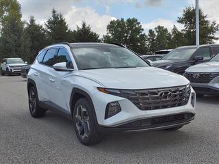 2024 Hyundai Tucson for sale in Stow OH