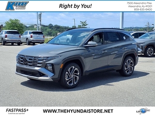2025 Hyundai Tucson for sale in Alexandria KY