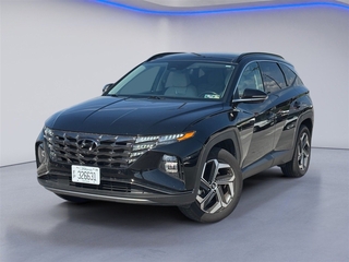 2024 Hyundai Tucson for sale in Ringgold GA