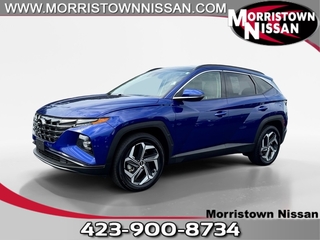 2024 Hyundai Tucson for sale in Morristown TN