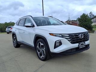 2022 Hyundai Tucson for sale in Boerne TX