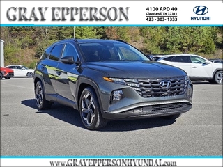 2022 Hyundai Tucson for sale in Cleveland TN