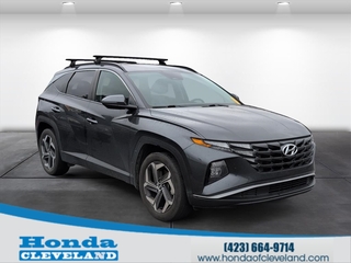 2023 Hyundai Tucson for sale in Cleveland TN