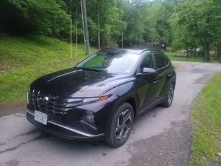 2024 Hyundai Tucson for sale in Mount Hope WV