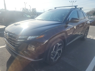 2024 Hyundai Tucson for sale in Johnson City TN