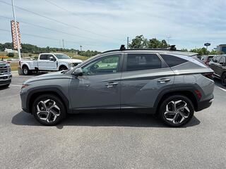 2024 Hyundai Tucson for sale in Dandridge TN