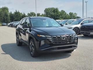 2024 Hyundai Tucson for sale in Stow OH