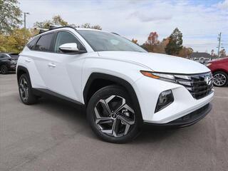 2024 Hyundai Tucson for sale in Knoxville TN