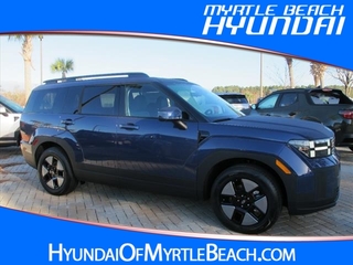 2025 Hyundai Santa Fe Hybrid for sale in Myrtle Beach SC