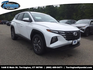 2024 Hyundai Santa Fe for sale in Torrington CT