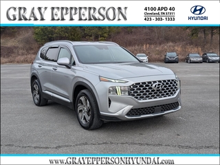2022 Hyundai Santa Fe for sale in Cleveland TN