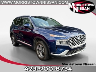 2021 Hyundai Santa Fe for sale in Morristown TN