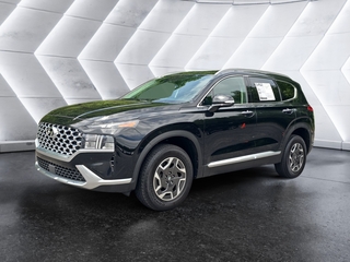 2023 Hyundai Santa Fe Hybrid for sale in Knoxville TN