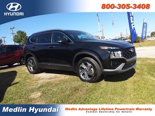 2023 Hyundai Santa Fe for sale in Rocky Mount NC