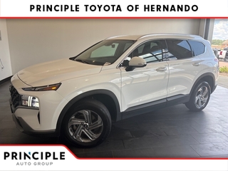 2023 Hyundai Santa Fe for sale in Hernando MS