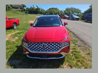 2023 Hyundai Santa Fe for sale in Johnson City TN