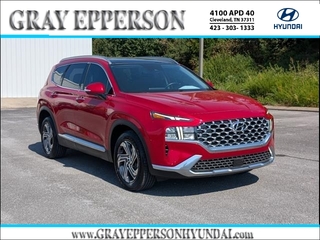 2023 Hyundai Santa Fe for sale in Cleveland TN