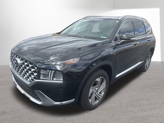 2023 Hyundai Santa Fe for sale in Indianapolis IN