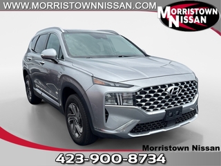 2023 Hyundai Santa Fe for sale in Morristown TN